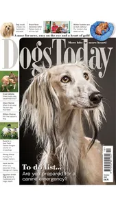 Dogs Today Magazine screenshot 0