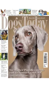 Dogs Today Magazine screenshot 1