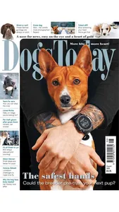 Dogs Today Magazine screenshot 2