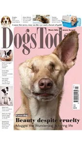 Dogs Today Magazine screenshot 3