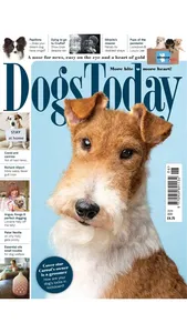 Dogs Today Magazine screenshot 4