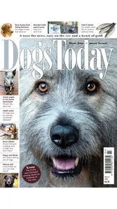 Dogs Today Magazine screenshot 5