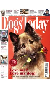 Dogs Today Magazine screenshot 6