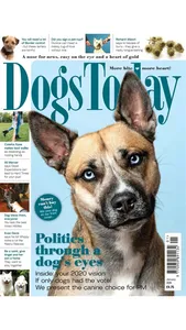 Dogs Today Magazine screenshot 7