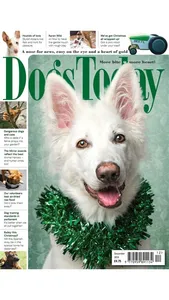 Dogs Today Magazine screenshot 8