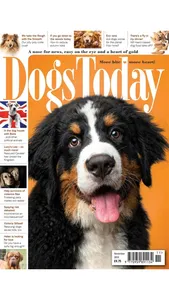 Dogs Today Magazine screenshot 9