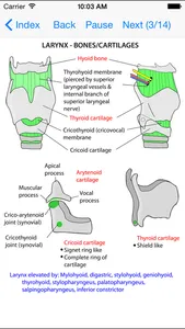 Anatomy Lectures Head and Neck screenshot 1