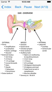 Anatomy Lectures Head and Neck screenshot 2