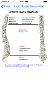 Anatomy Lectures Head and Neck screenshot 4