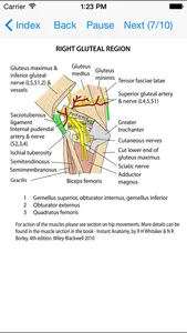 Anatomy Lectures Limbs screenshot 2