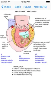 Anatomy Thorax and Abdomen screenshot 0