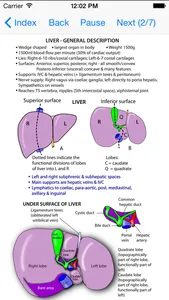 Anatomy Thorax and Abdomen screenshot 3