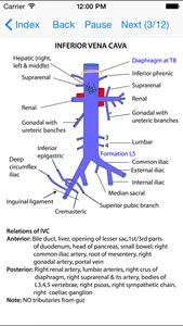 Anatomy Thorax and Abdomen screenshot 4