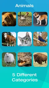 Animal and Tool Flashcards for Babies or Toddlers screenshot 3