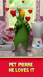 Talking Pierre the Parrot screenshot 4