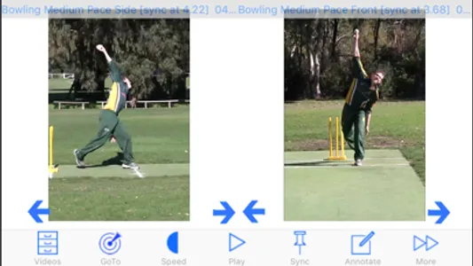 Cricket Coach Plus HD screenshot 1