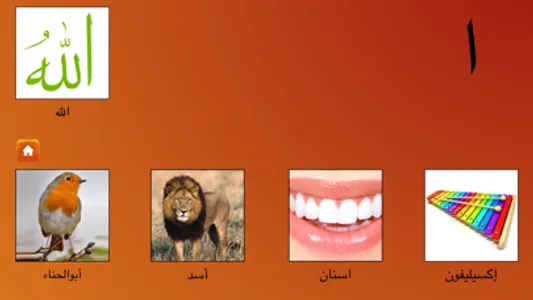 My First Book of Arabic HD screenshot 0