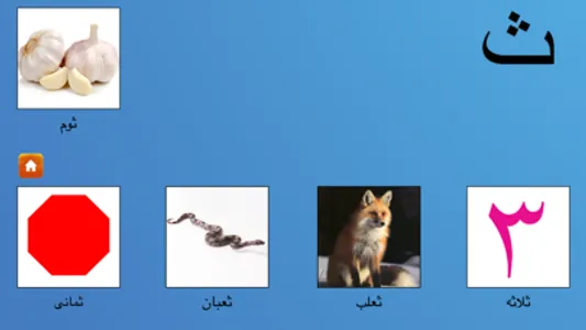 My First Book of Arabic HD screenshot 3