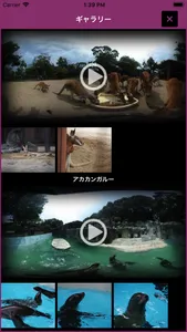 i 動物園 for とべ動物園 screenshot 2