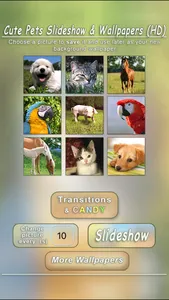 Cute Pets Slideshow & Wallpapers (HD) screenshot 1