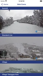 Mt Buller Live screenshot 4