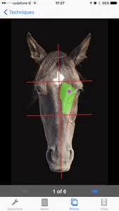 Equine Techniques screenshot 0