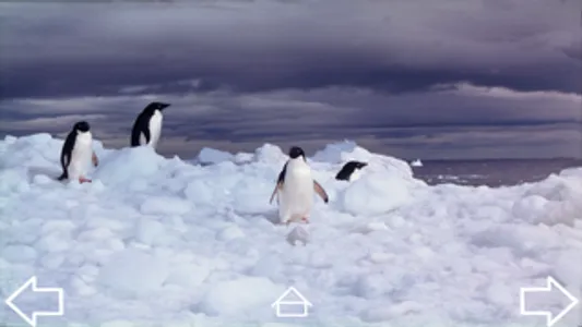 Mission Antarctica screenshot 1