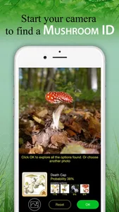 Mushroom Book & Identification screenshot 0