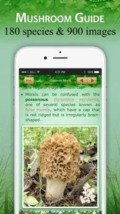 Mushroom Book & Identification screenshot 1