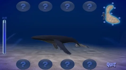 Humpback Whale screenshot 4