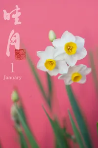 Hanatoiro - Art Japan Calendar screenshot 0