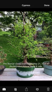 Bonsai Album screenshot 2