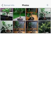 Bonsai Album screenshot 3