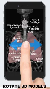 Anatomy 3D - Organs screenshot 1