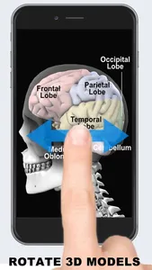 Anatomy 3D - Organs screenshot 3