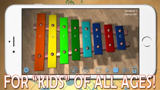 i-XyloPhone Fun - PRO Version screenshot 0