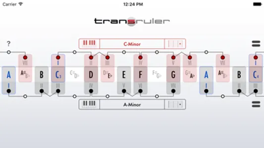 Transruler free screenshot 0