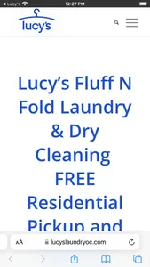 Lucy’s Laundry screenshot 3