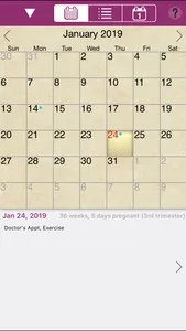 iPregnant Lite screenshot 3