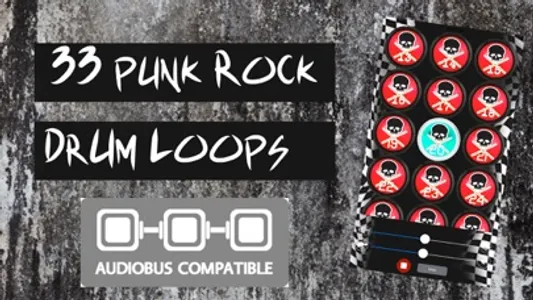 Punk Rock Drum Loops screenshot 0