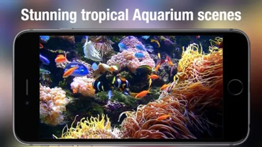 Aquarium Live - Real Fish Tank screenshot 1