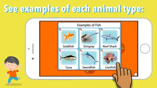 Animal Kingdom (Vertebrates) screenshot 2