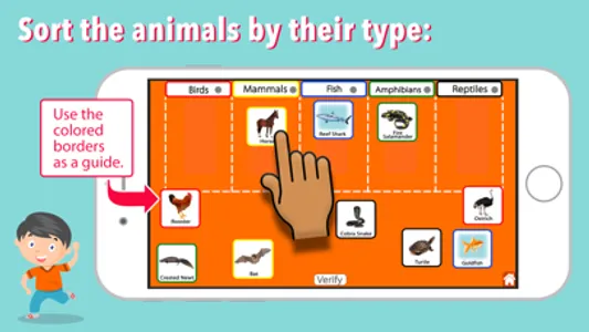 Animal Kingdom (Vertebrates) screenshot 5