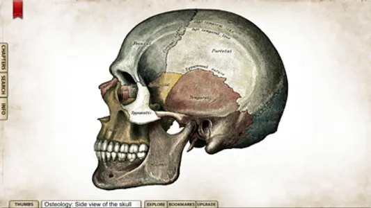 Gray's Anatomy Student Edition screenshot 1