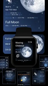 Deluxe Moon Pro • App & Widget screenshot 2