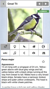 Birds of the Netherlands screenshot 0