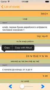 IRIS Hebrew Russian Dictionary screenshot 1