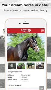 ehorses screenshot 4