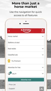 ehorses screenshot 5