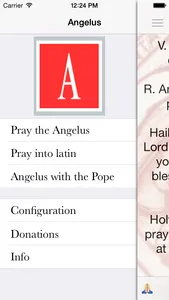 Angelus Pro screenshot 1